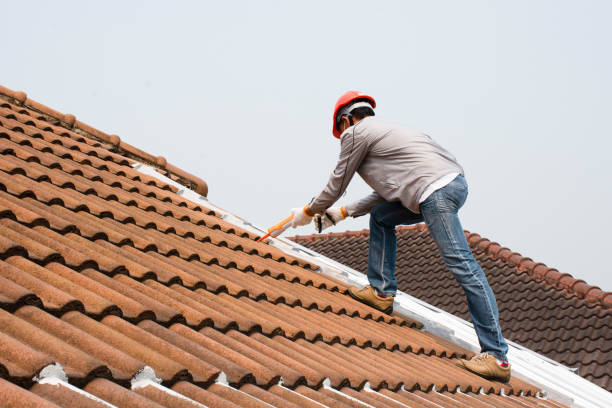 Best Gutter Installation and Repair  in Lakehills, TX